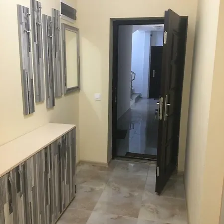 Paradise * 茨雷沃